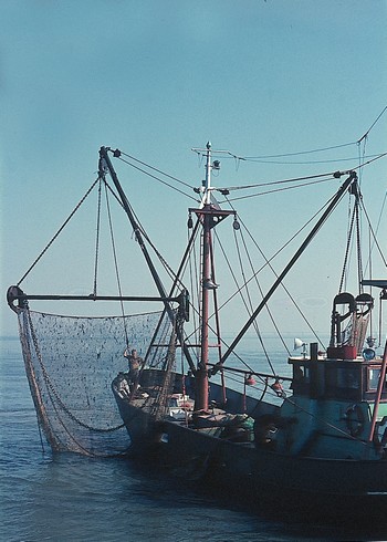 Afbeelding vissersboot 1970